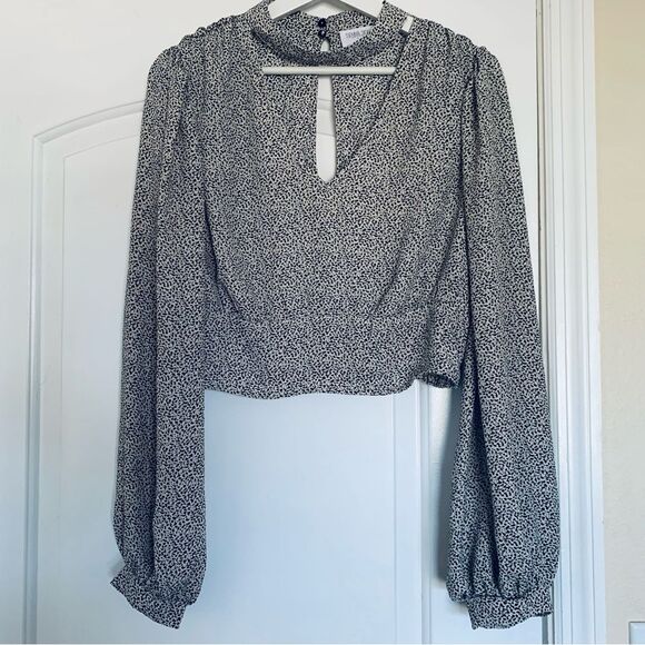 Sienna Sky Leopard Print Satin/Silk Cropped Blouse | Size: L - Picture 1 of 8